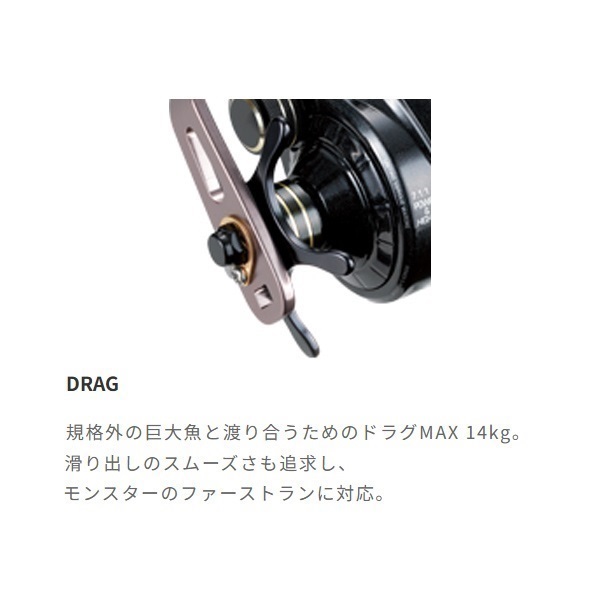 24エランスーパー ワイドパワー81